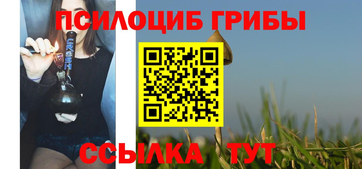 Псилоцибиновые грибы MAGIC MUSHROOMS Куйбышев
